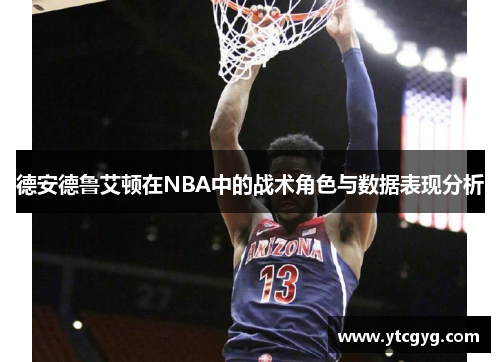 德安德鲁艾顿在NBA中的战术角色与数据表现分析