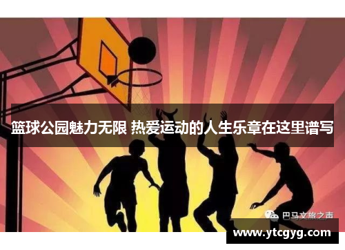 篮球公园魅力无限 热爱运动的人生乐章在这里谱写